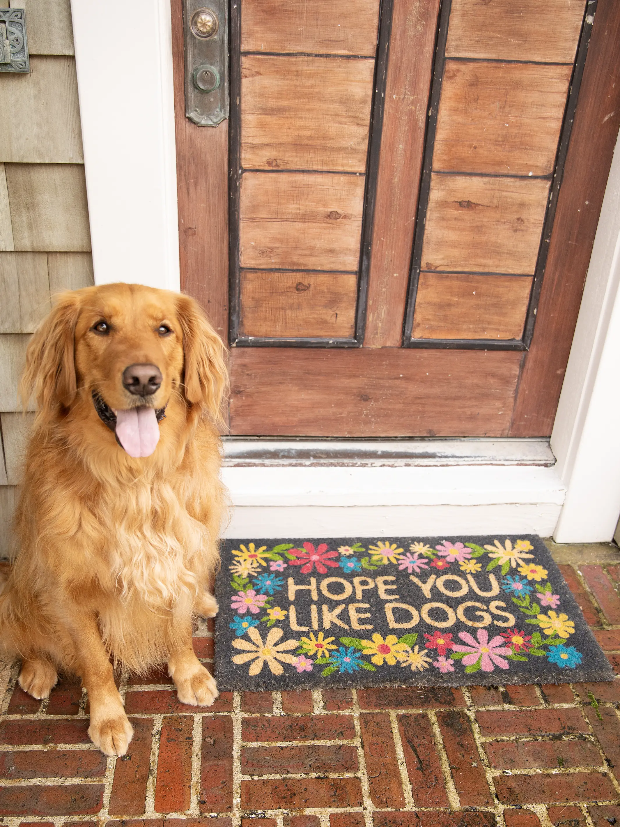 Bungalow Doormat - Like Dogs Black - Image 3