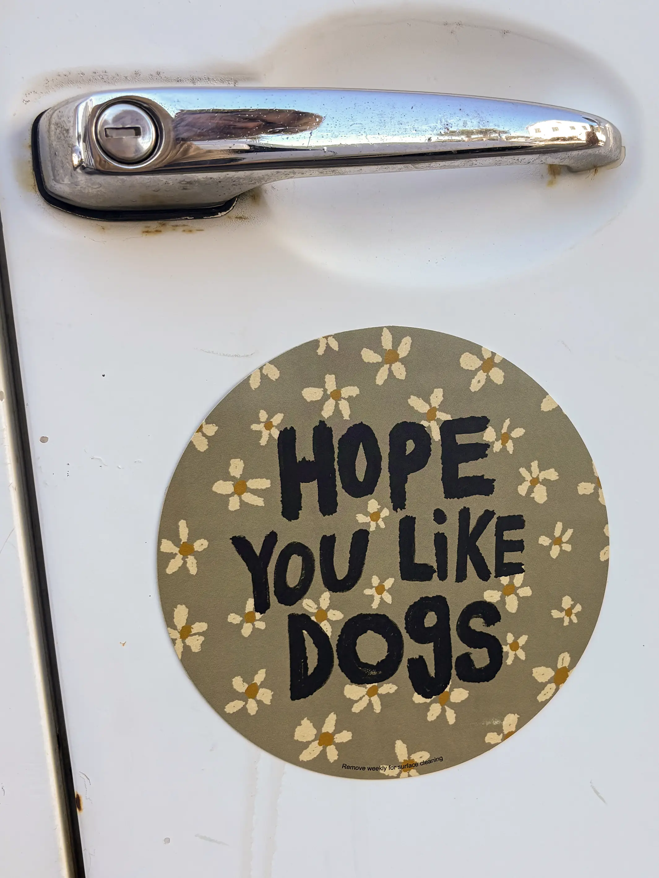 Car Magnet - Hope You Like Dogs - Image 3