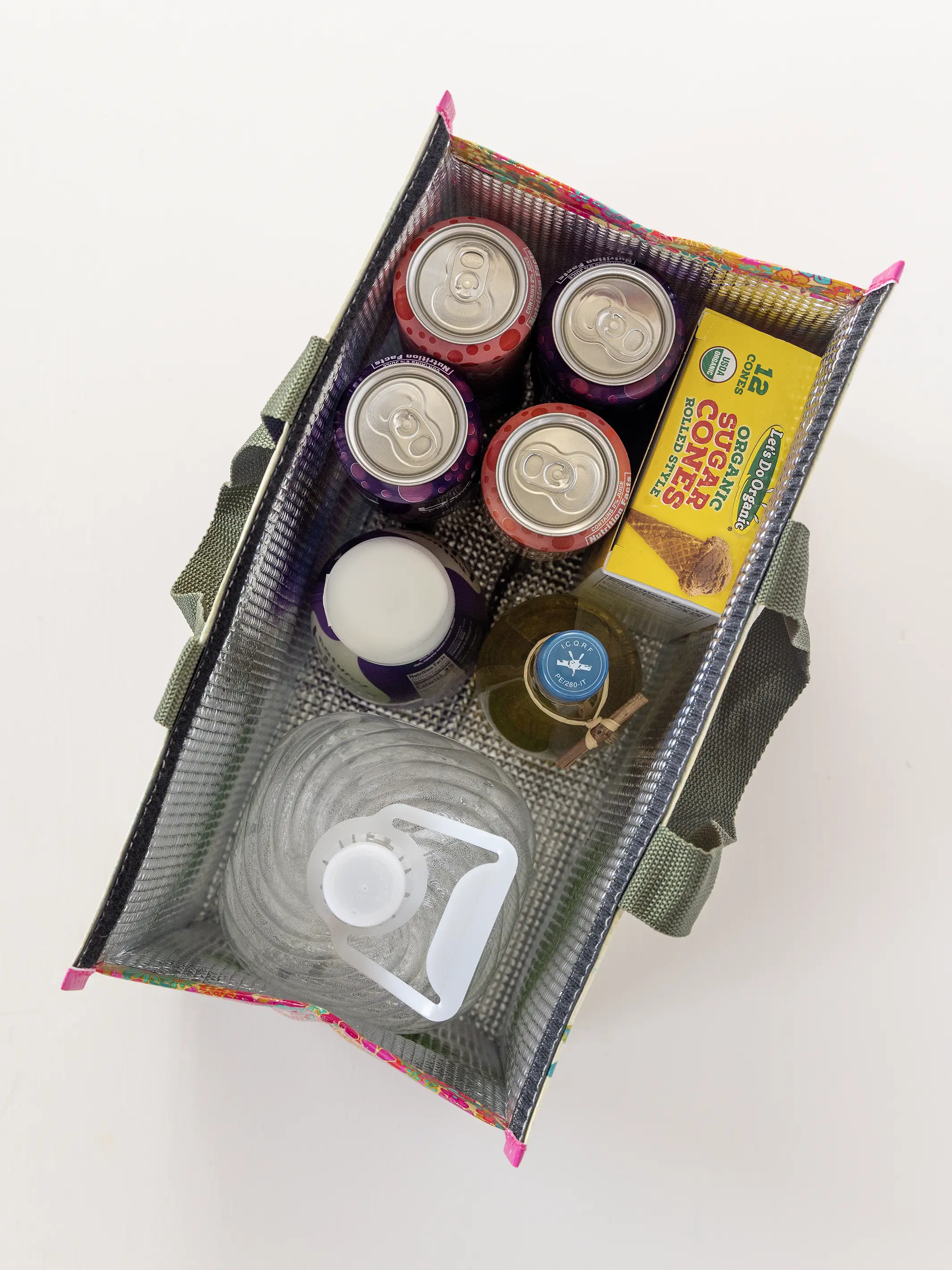 Insulated Cooler Tote - Fish - Image 2