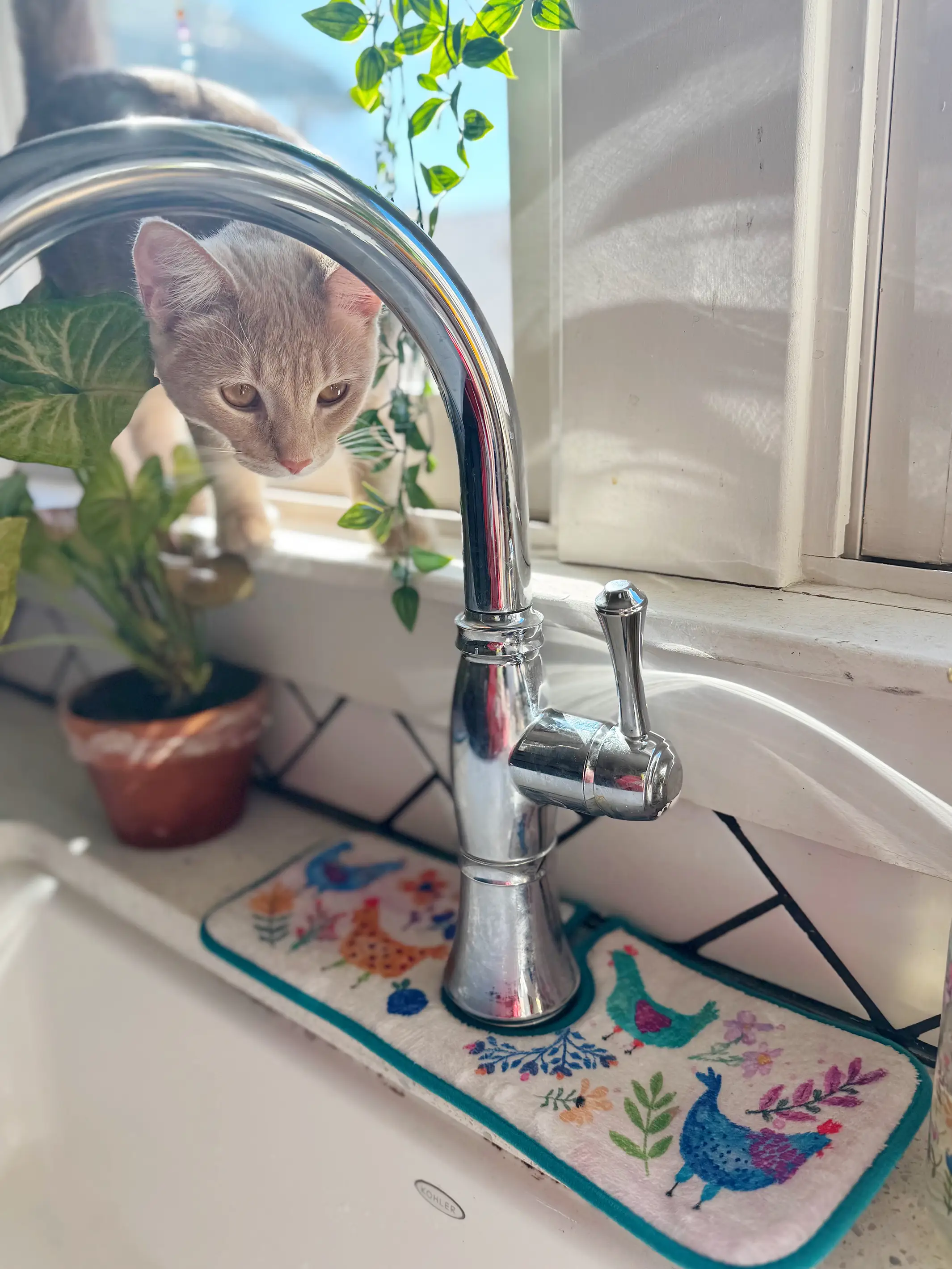 Reversible Faucet Sink Mat - Chickens - Image 2