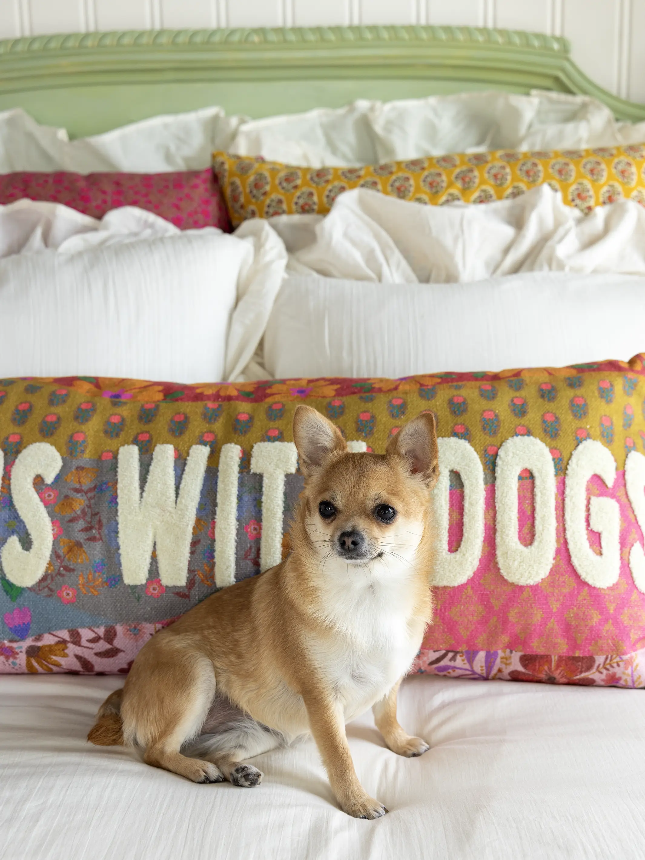 Tufted Lumbar Pillow - Sleeps With Dogs - Image 6